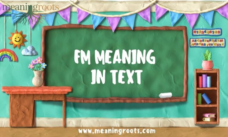 FM MEANING IN TEXT