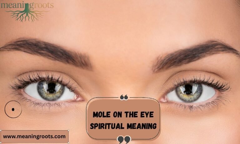 Mole Of The Eye Spiritual Meaning