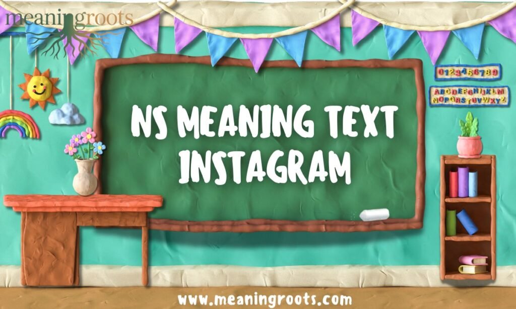 NS MEANING TEXT INSTAGRAM