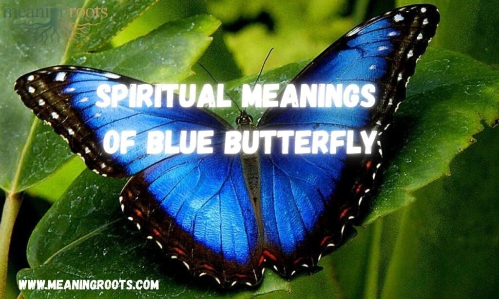 Spiritual Meanings Of Blue Butterfly