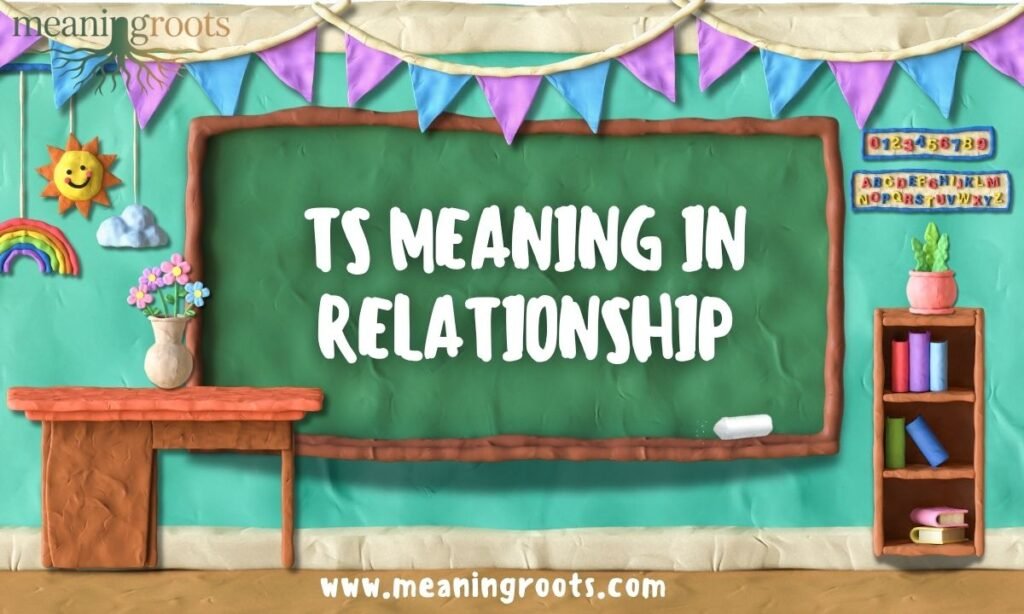 TS Meaning in Relationship