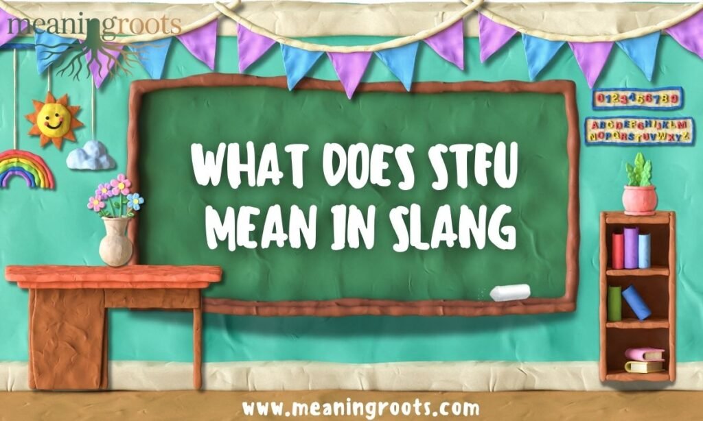 WHAT DOES STFU MEAN IN SLANG