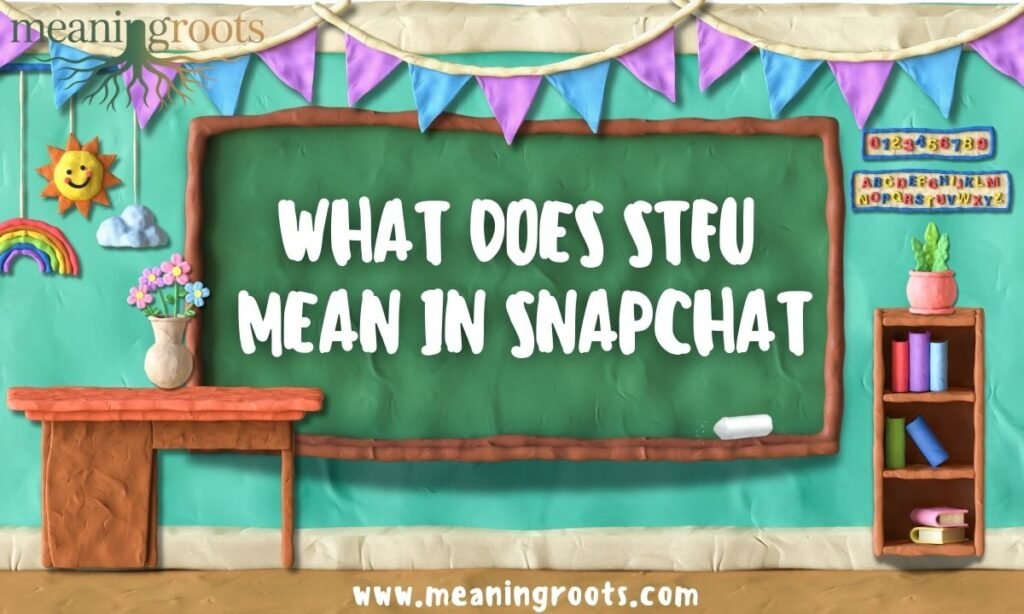 WHAT DOES STFU MEAN IN SNAPCHAT