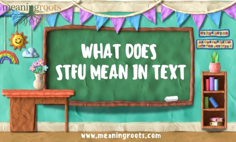 WHAT DOES STFU MEAN IN TEXT