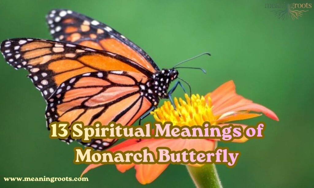 13 Spiritual Meanings of Monarch Butterfly