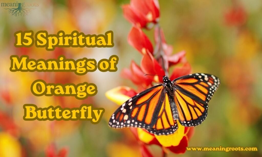 15 Spiritual Meanings of Orange Butterfly