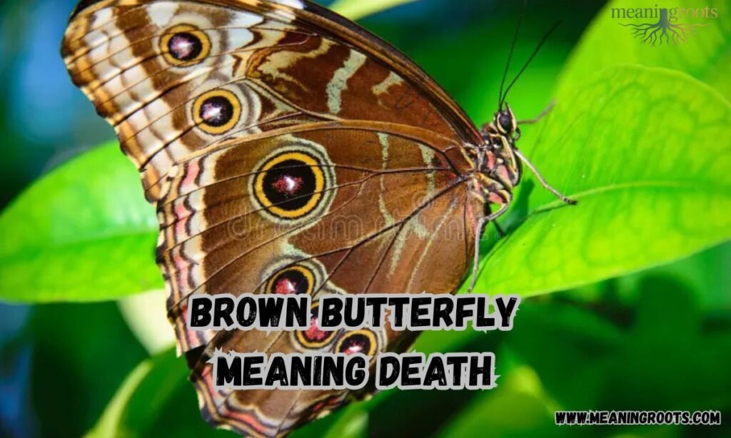 Brown Butterfly Meaning Death