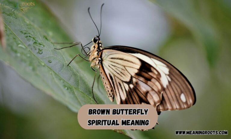 Brown Butterfly Spiritual Meaning