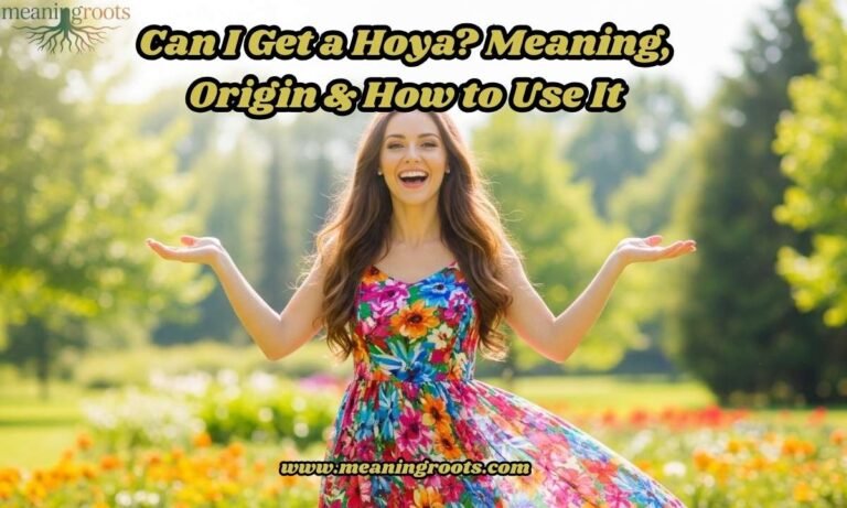 Can I Get a Hoya Meaning, Origin & How to Use It