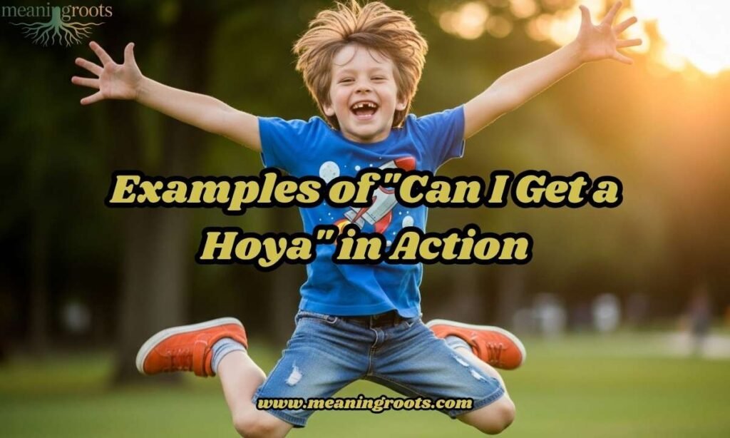 Examples of Can I Get a Hoya in Action