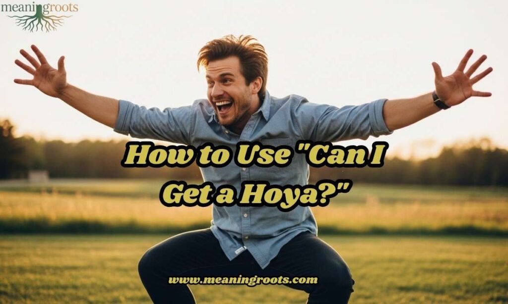 How to Use Can I Get a Hoya