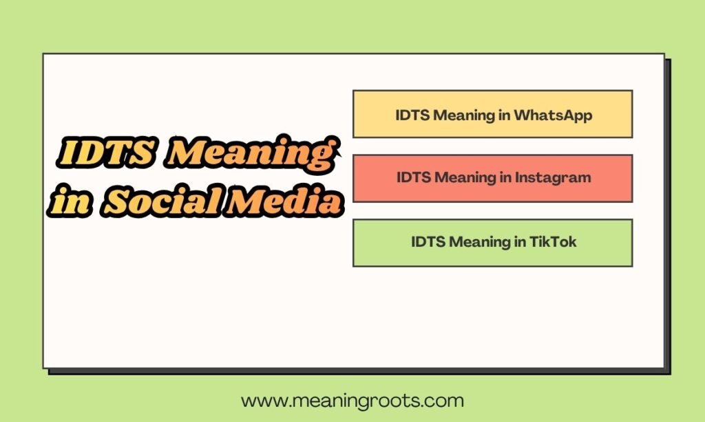 IDTS Meaning in Social Media