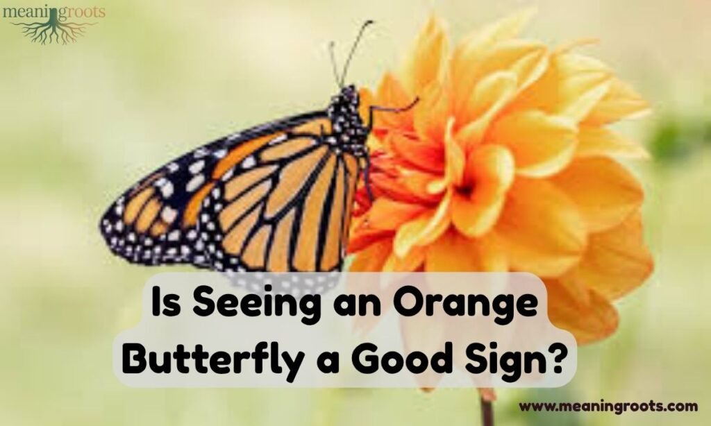 Is Seeing an Orange Butterfly a Good Sign