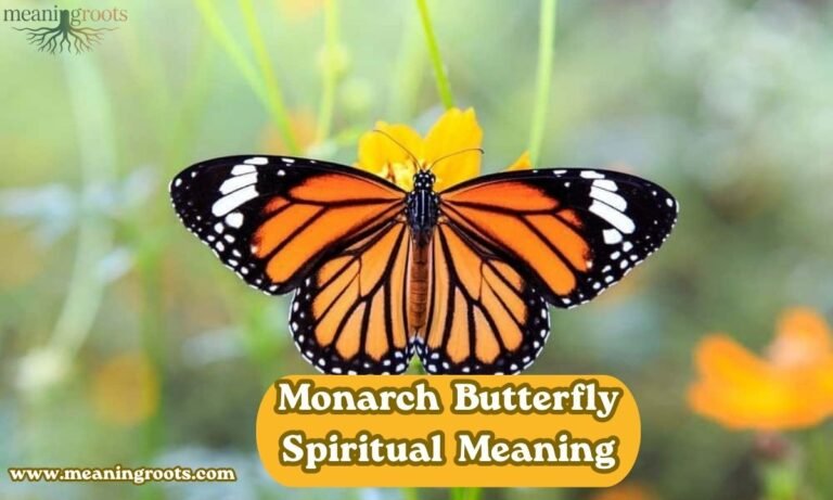 Monarch Butterfly Spiritual Meaning
