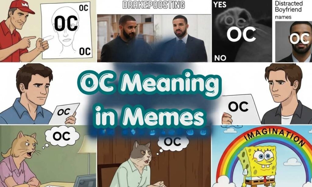 OC Meaning in Memes