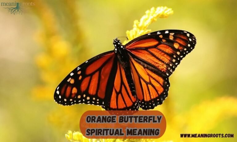 Orange Butterfly Spiritual Meaning