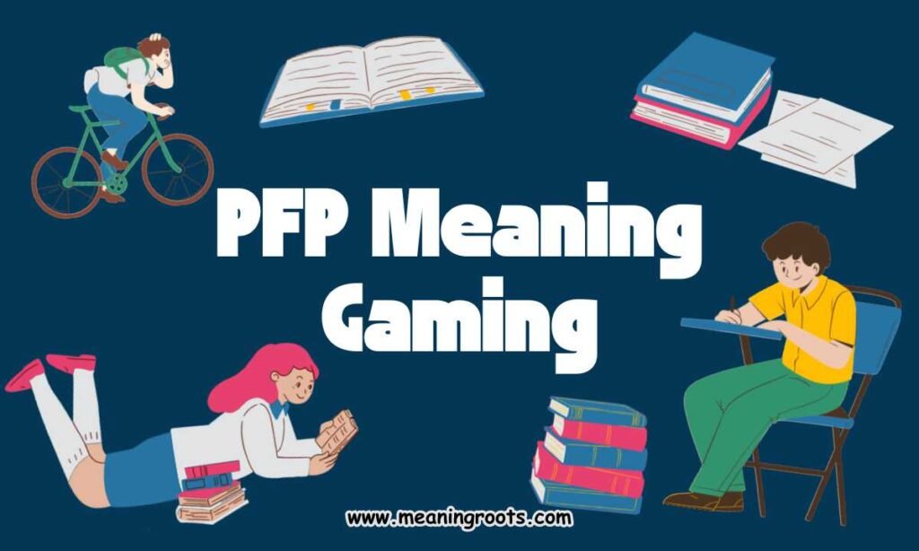 PFP Meaning Gaming