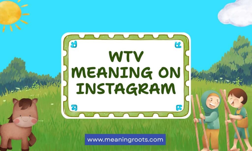 WTV Meaning on Instagram