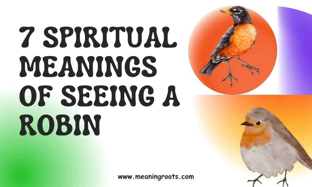 7 Spiritual Meanings of Seeing a Robin