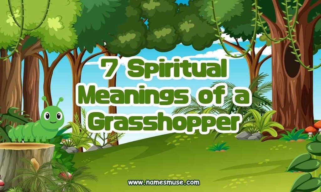 7 Spiritual Meanings of a Grasshopper