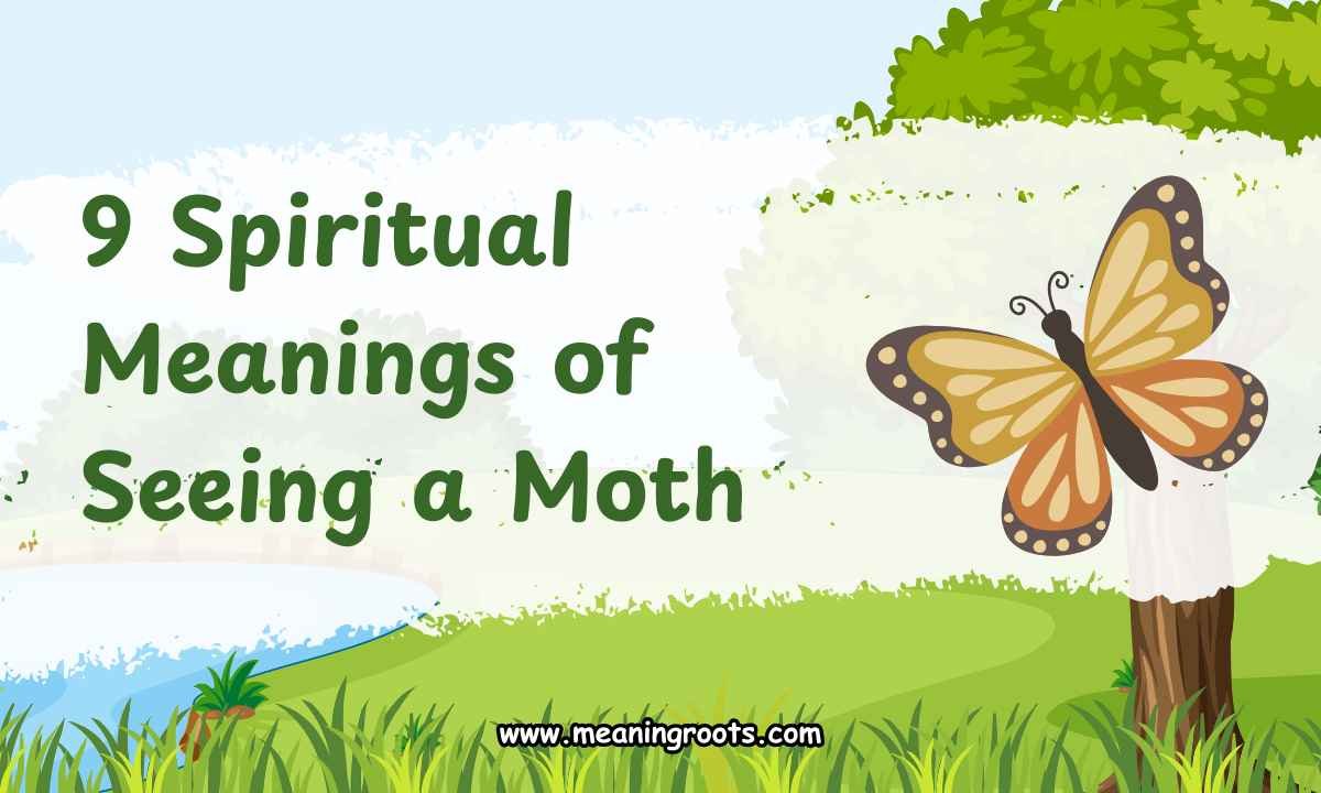 9 Spiritual Meanings of Seeing a Moth