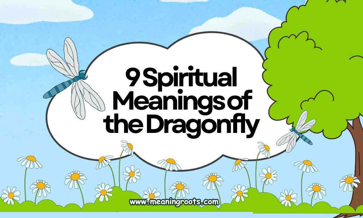 9 Spiritual Meanings of the Dragonfly