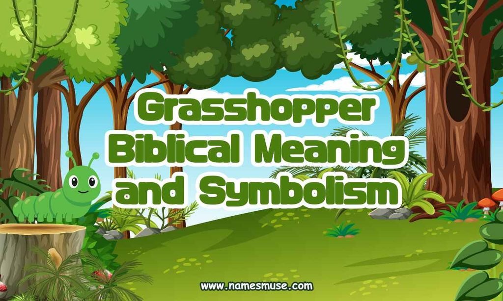 Grasshopper Biblical Meaning and Symbolism