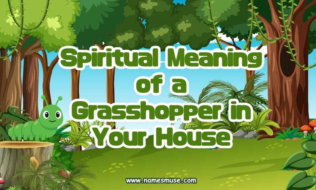 Spiritual Meaning of a Grasshopper in Your House